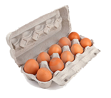 Dozen Eggs Photo